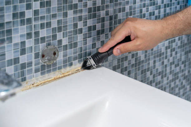 Best Professional Mold Removal  in East Brooklyn, CT