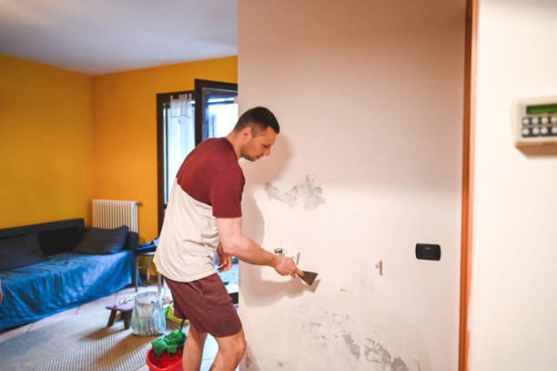 Best Office Mold Removal Services  in East Brooklyn, CT