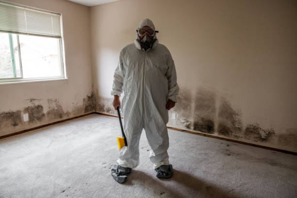 Water Damage Restoration in East Brooklyn, CT